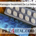 Kamagra Seulement De La Gelée 34